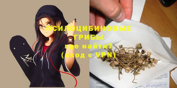 дмт Аркадак