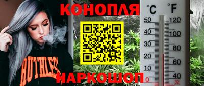 шишки Гусь-Хрустальный