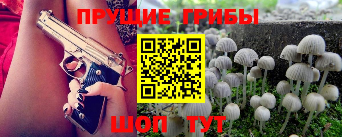 Псилоцибиновые грибы GOLDEN TEACHER  Псилоцибиновые грибы Psilocybine cubensis  Вход с VPN  Пушкино 