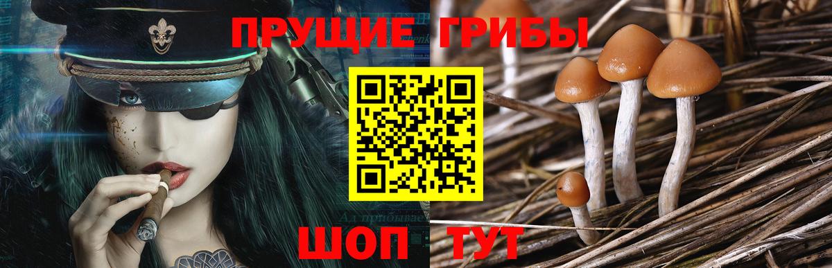 Псилоцибиновые грибы MAGIC MUSHROOMS Пушкино
